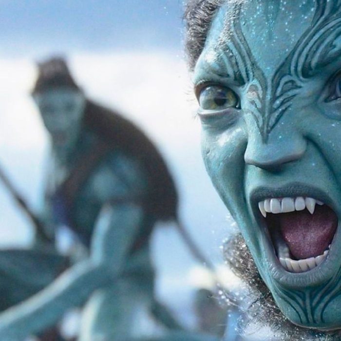 Two water tribe Na'vi going in to battle, both feature facial tattoos very reminiscent of maori traditional markings.